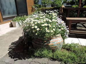 見事！美幸ひなたさんのカバンの陶器に咲く草花